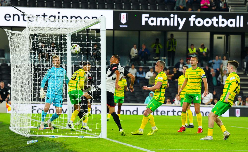 Carlos Vinicius scores against Norwich Carlos Vinicius scores against Norwich