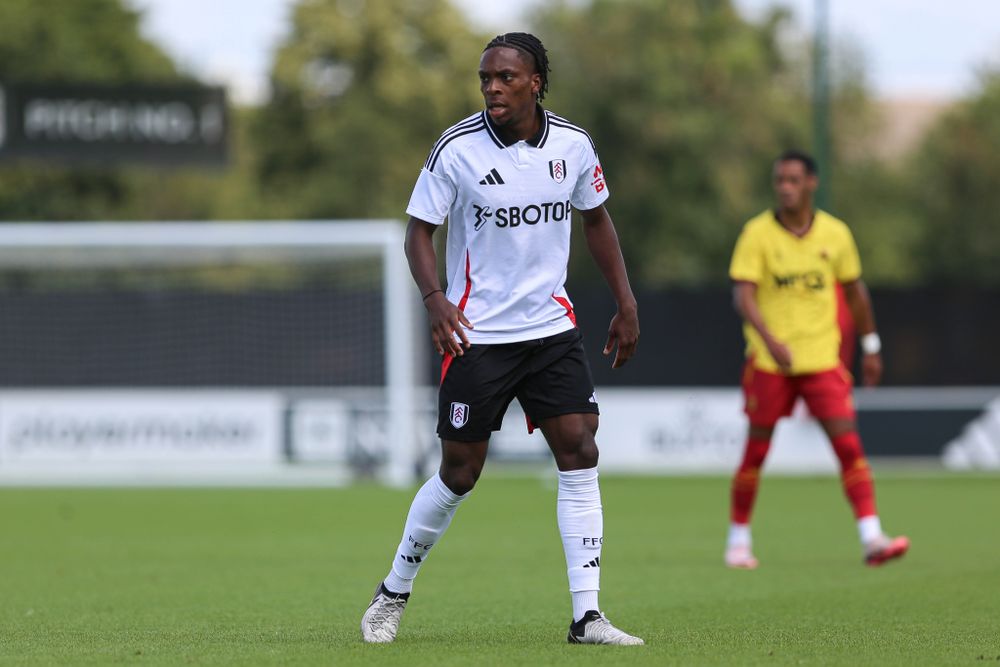 Martial Godo in action for Fulham against Watford