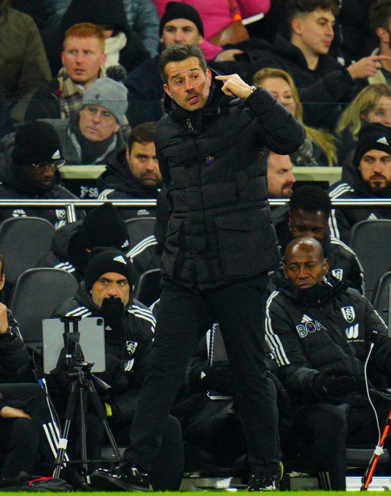 Marco Silva on the touchline Marco Silva on the touchline