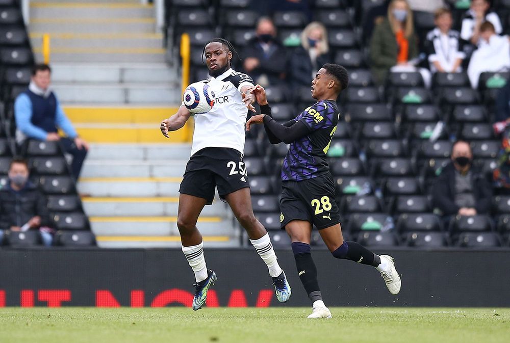 Fulham FC - Fulham 0-2 Newcastle