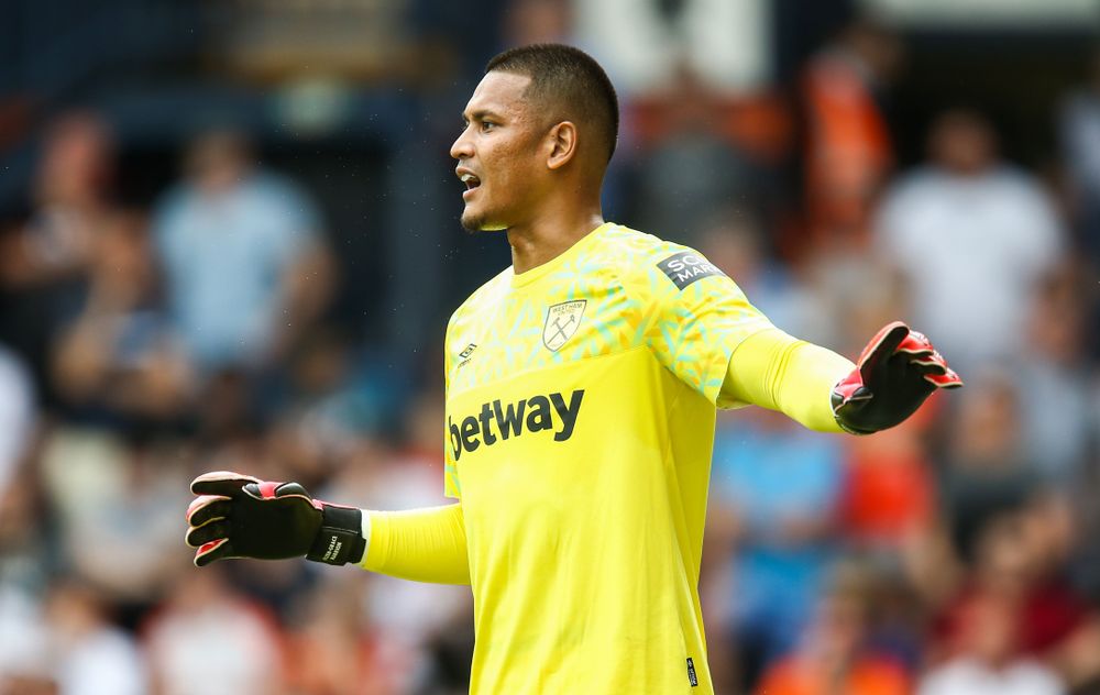 Alphonse Areola in action for West Ham