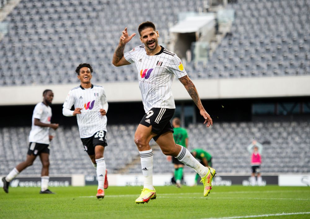 Aleksandar Mitrović celebrates scoring against Stoke Aleksandar Mitrović celebrates scoring against Stoke
