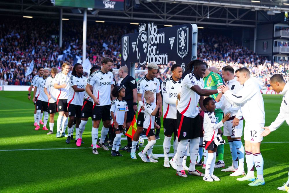 The mascots line up with the players ahead of kick-off