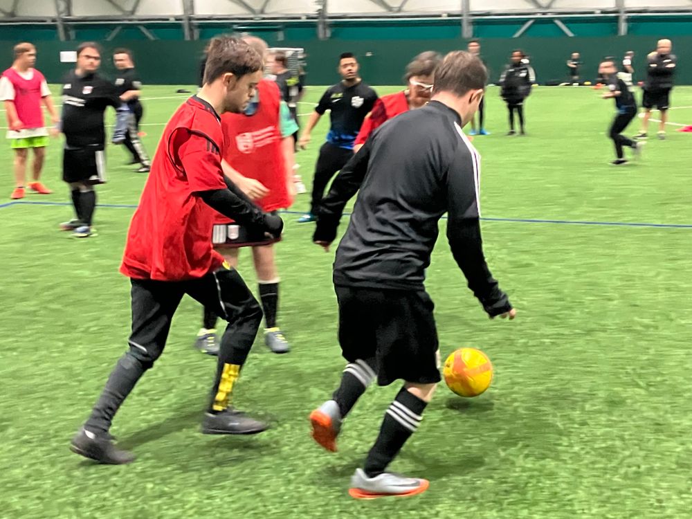 Fulham Badgers