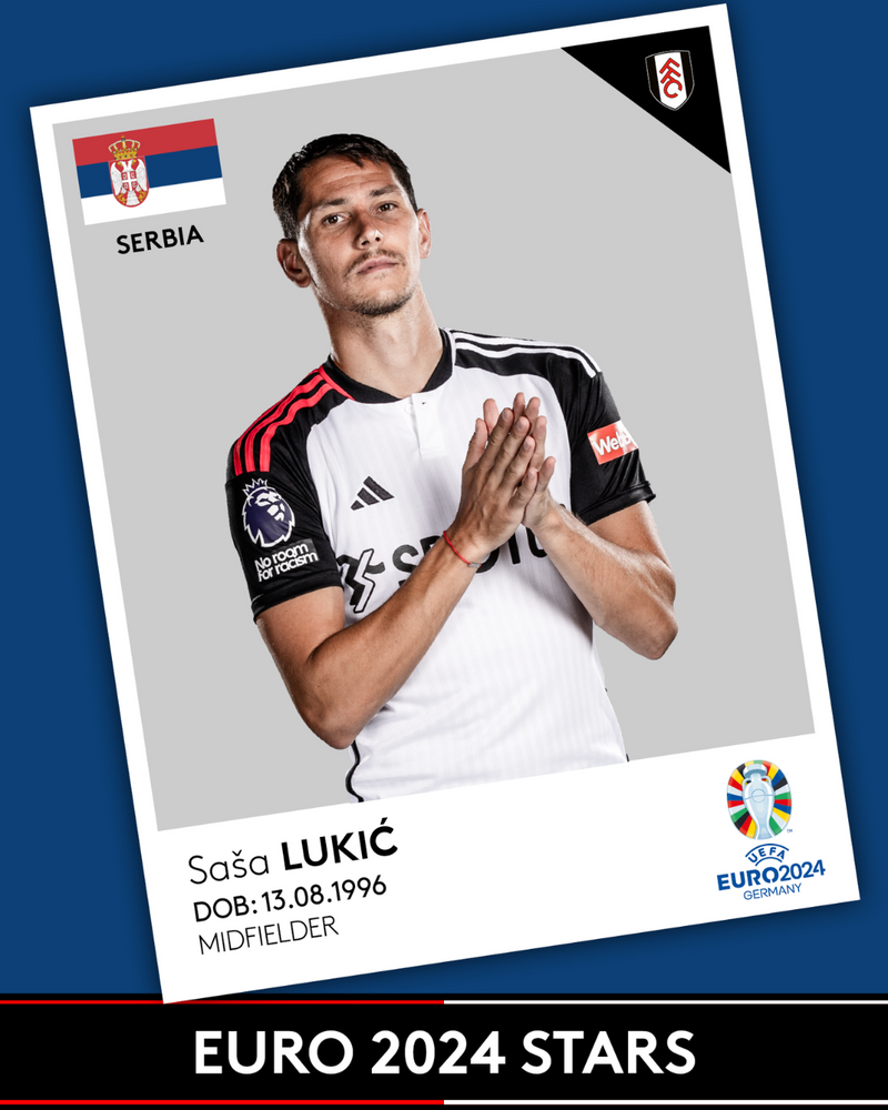 Sasa Lukic international sticker card Sasa Lukic international sticker card
