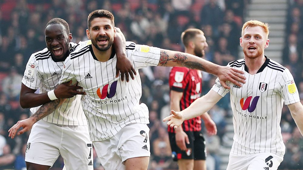 Fulham FC - Bournemouth Gallery