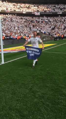 Tim Ream celebrates promotion at Wembley