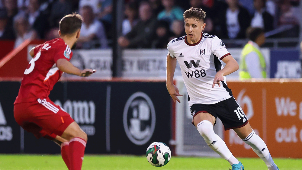 Fulham FC Short Highlights Crawley