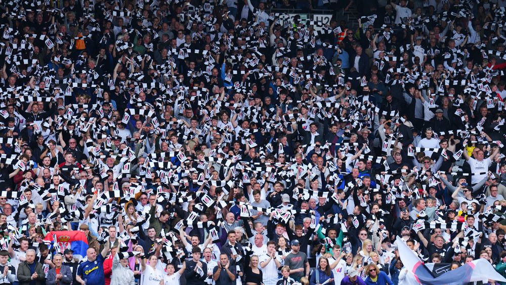 جمهور فولهام (وكالات)