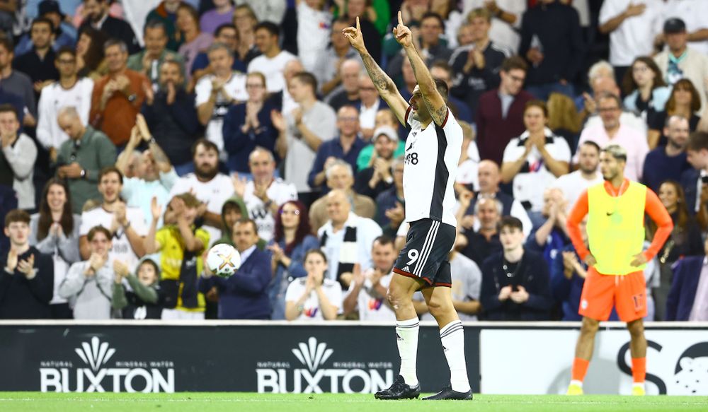 Aleksandar Mitrović celebrates scoring against Brighton Aleksandar Mitrović celebrates scoring against Brighton
