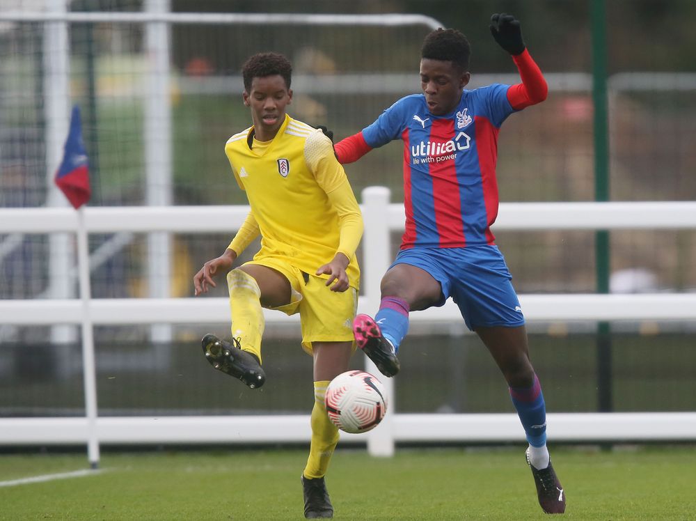 Harvey Araujo V Palace Harvey Araujo V Palace
