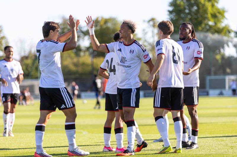 Fulham 1-2 Crystal Palace